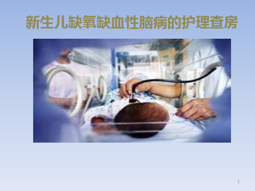 新生儿缺氧缺血性脑病的护理查房ppt课件