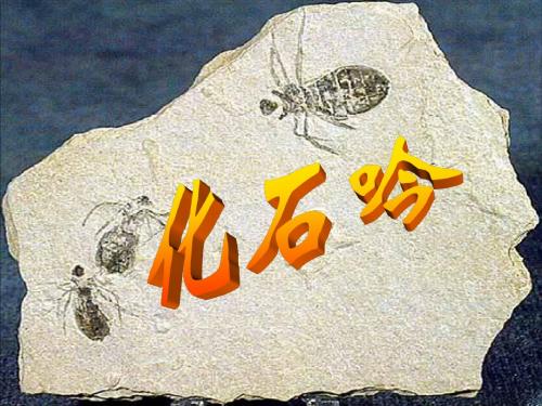 人教版新课标语文七年级上册《化石吟》公开课PPT