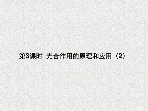 第3课时光合作用的原理和应用(2)