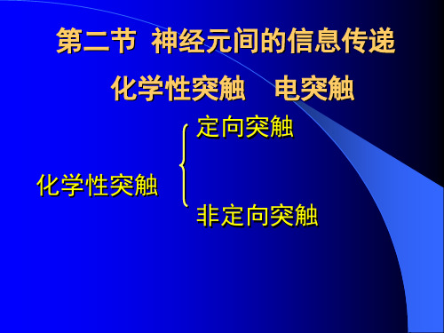 神经元间的信息传递