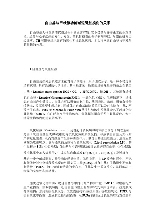 自由基与甲状腺功能减退肾脏损伤的关系