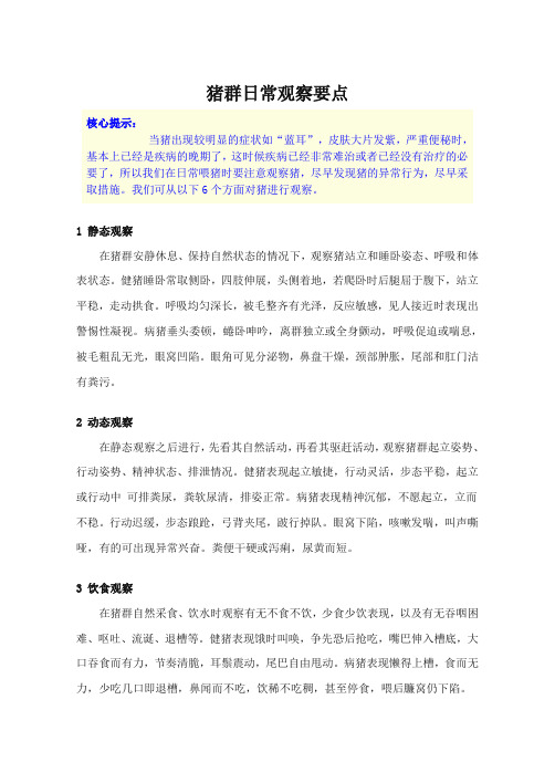 猪群日常观察要点