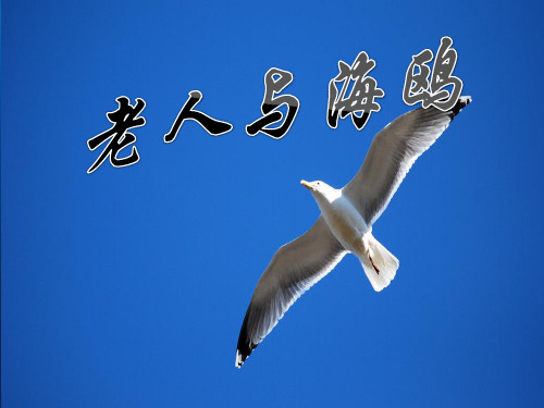 小学六年级上册语文第二十一课老人与海鸥PPT教学课件2PPT教学课件
