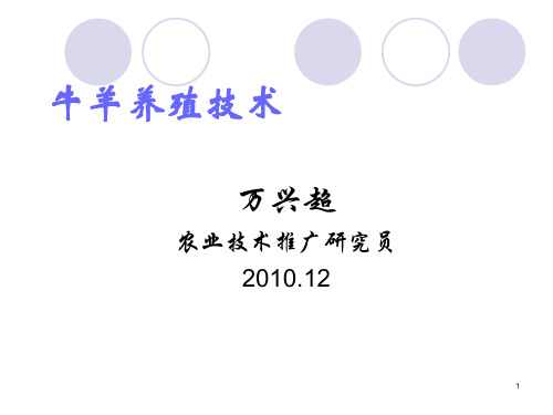 牛羊养殖技术
