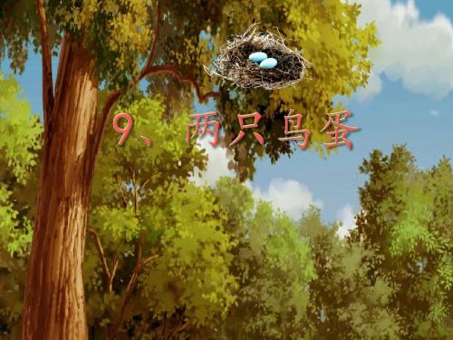 两只鸟蛋_ppt