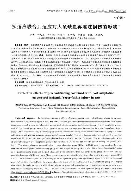 预适应联合后适应对大鼠缺血再灌注损伤的影响