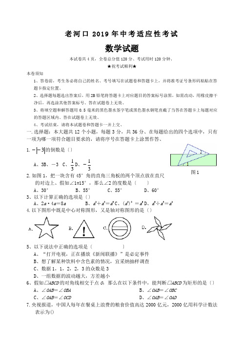 老河口2019年中考适应性考试