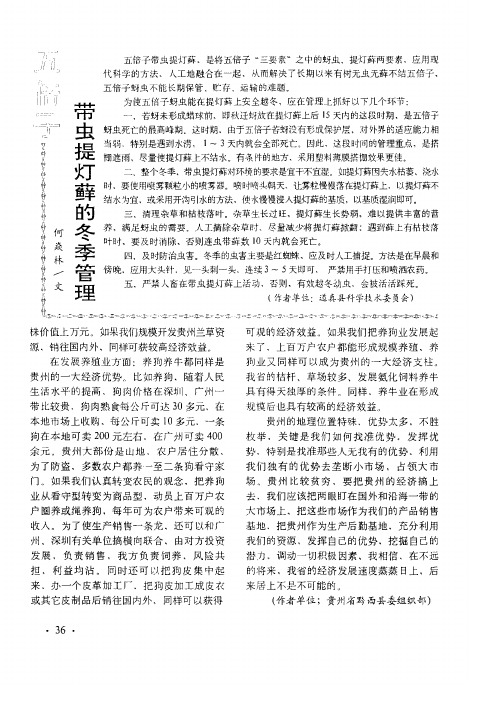五倍子带虫提灯藓的冬季管理