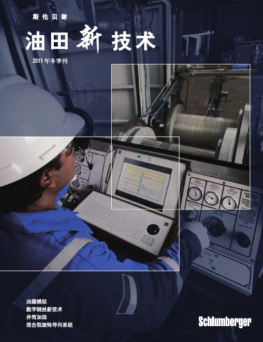 油田新技术2011冬季刊