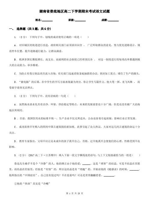 湖南省娄底地区高二下学期期末考试语文试题