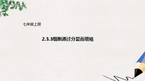 七年级生物上册2.3.3细胞通过分裂而增殖课件新版北师大版