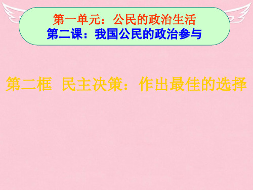 高中政治 民主决策作出最佳的选择课件 新人教版必修2