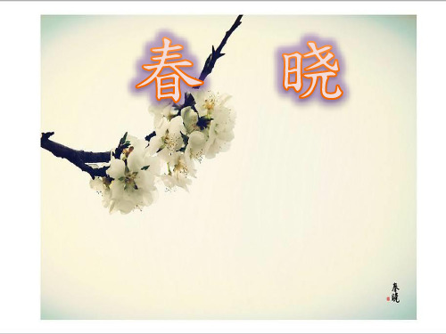 最新人教版部编版小学一年级语文下册《春晓》精品课件