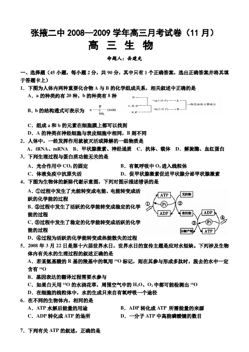 张掖二中2008—2009学年高三月考试卷(11月)