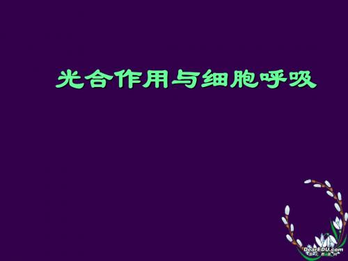 高一生物第五章光合作用与细胞呼吸课件 新课标 人教版 必修1
