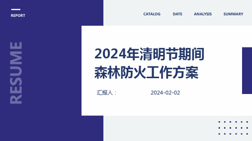 2024年清明节期间森林防火工作方案