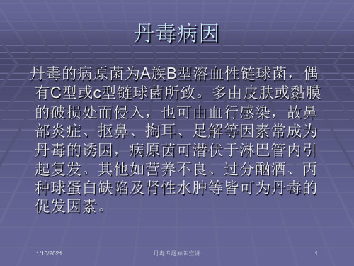 丹毒专题知识宣讲培训课件