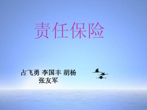责任保险ppt