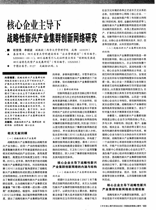 核心企业主导下战略性新兴产业集群创新网络研究