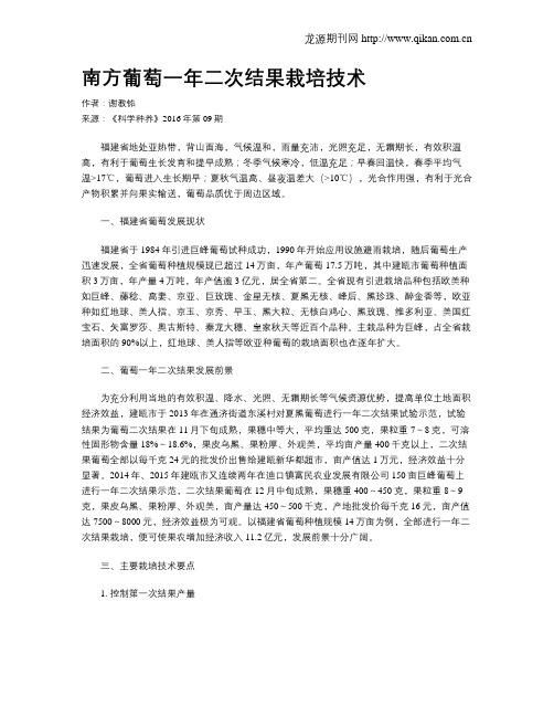 南方葡萄一年二次结果栽培技术