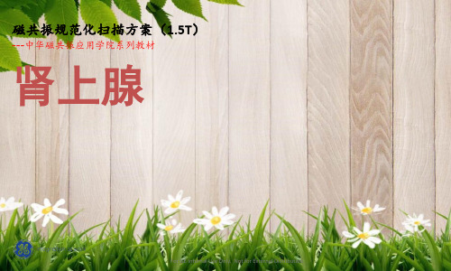 课件：肾上腺规范化扫描方案