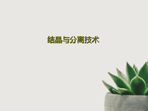 结晶与分离技术54页PPT