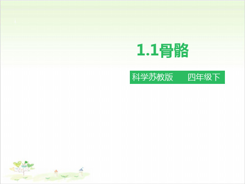 四年级下册科学-骨骼苏教版