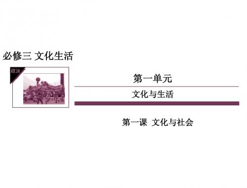 2014届高考政治一轮复习必修三1-1_文化与社会