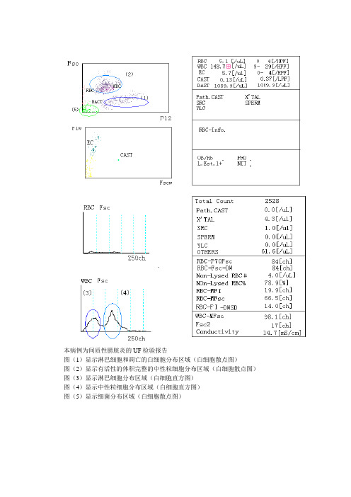 尿沉渣病理图
