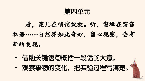 人教部编版三年级下语文13《花钟》示范优质课课件