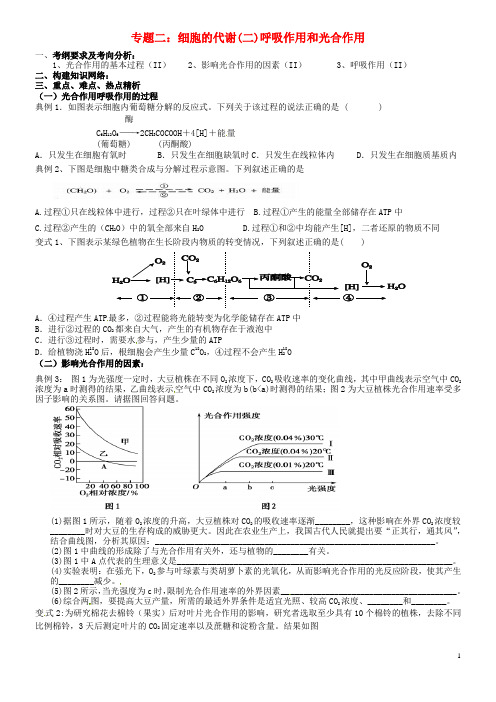 湖南省醴陵市第二中学2015届高考生物三轮复习细胞代谢(二)呼吸作用和光合作用