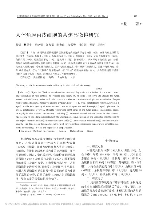 人体角膜内皮细胞的共焦显微镜研究
