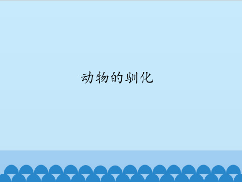 4动物的驯化