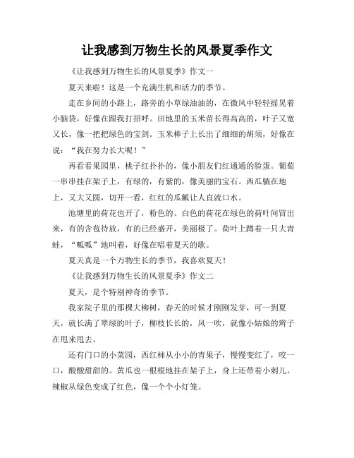 让我感到万物生长的风景夏季作文
