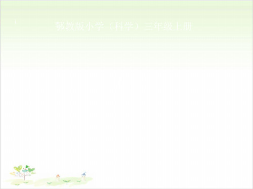 三年级上册科学-9鸡-鄂教版(共22张)-PPT课堂课件