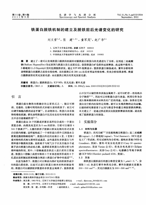 铁蛋白脱铁机制的建立及脱铁前后光谱变化的研究