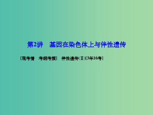 高考生物一轮复习 2.2基因在染色体上与伴性遗传课件 新人教版必修2