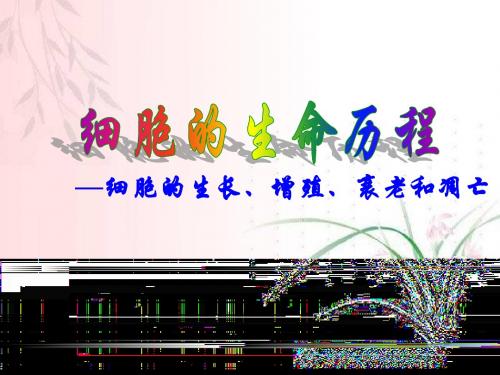 细胞的生命历程-复习课件