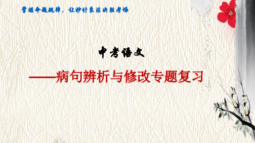 中考语文一轮复习专题---病句辨析与修改专题复习教学课件(共61张PPT)