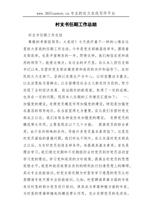 村支书任期工作总结