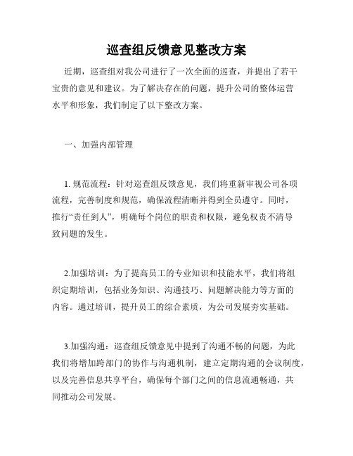 巡查组反馈意见整改方案