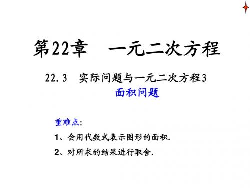 一元二次方程-面积应用题