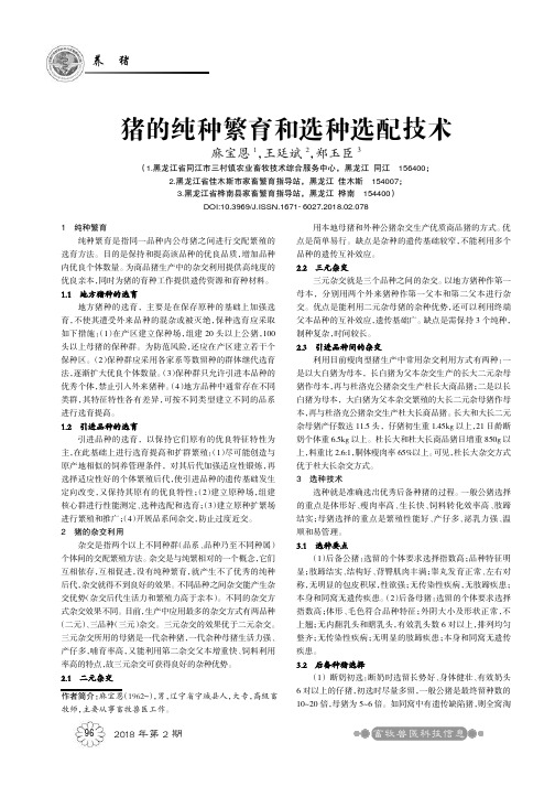 猪的纯种繁育和选种选配技术