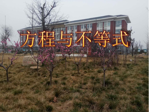 2018年中考数学专题复习： 方程与不等式