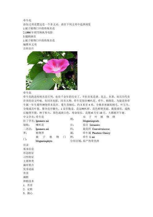 牵牛花