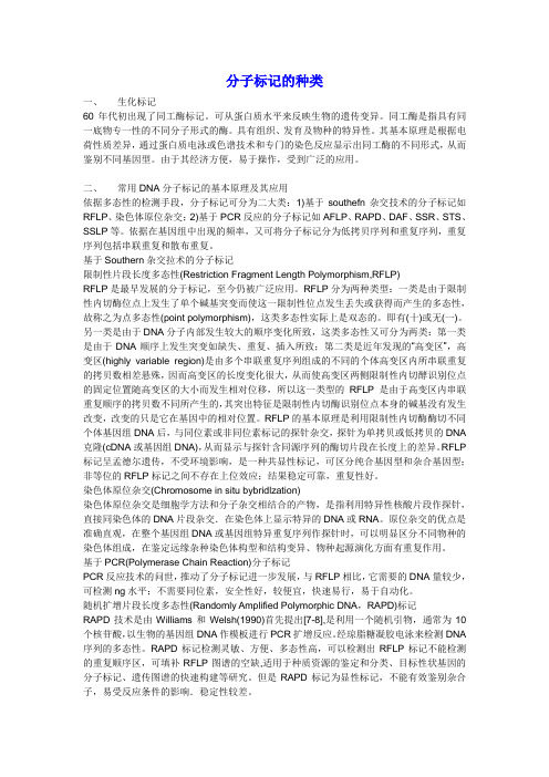 分子分子标记