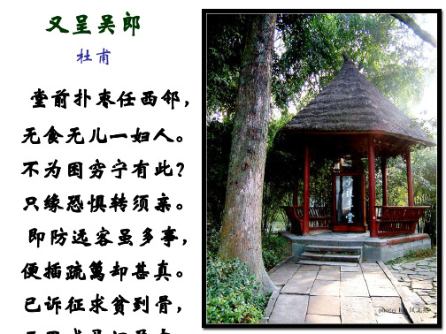 学习_又呈吴郎2初中语文七年级上