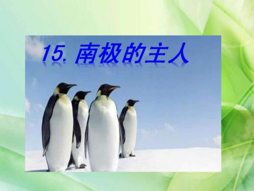 20172018学年苏教版一年级语文下册15南极的主人ppt课件