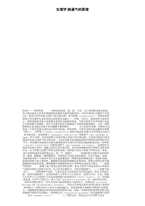 生理学·肺通气的原理