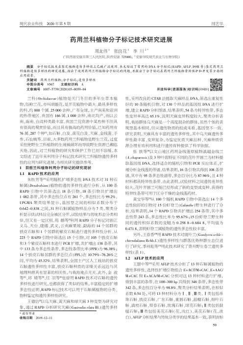 药用兰科植物分子标记技术研究进展